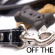 Illustration for article titled Dog Owner Stun Gunned by Park Ranger for Having Dogs Off Their Leashes